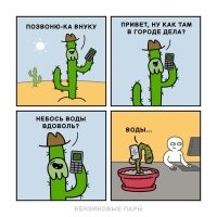 Скрины из соцсетей&nbsp;