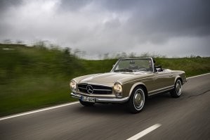 такой красавице лучше светлый кузов