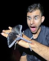 "Титановый палочник   безобидное насекомое, хоть и выглядит довольно жутковато."

Ага, "безобидное". Вон как руку погрыз.