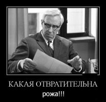 Самая странная работа в мире найдена в Пакистане