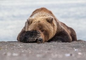 как же вы все меня ...утомили.