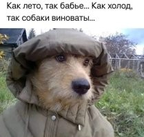 С первым днем зимы !