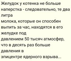 10 животных с уникальными суперспособностями