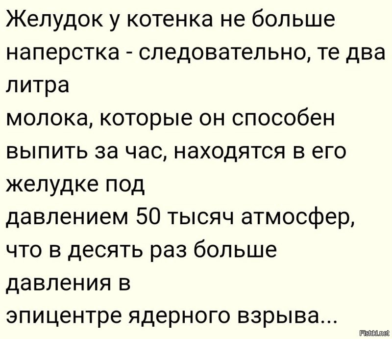 10 животных с уникальными суперспособностями