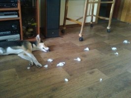 А это моя, притомилась...