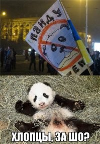 Панде надо дать имя Янукович !
