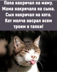 20 пушистых безобразников, у которых свой взгляд на правила