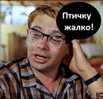 В Южной Корее птица сбила американский истребитель F-35A