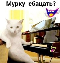 Комментарии и картинки из соцсетей. Свежак за 2 декабря
