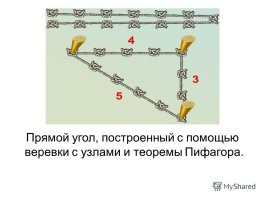 Комментарии и картинки из соцсетей. Свежак за 2 декабря