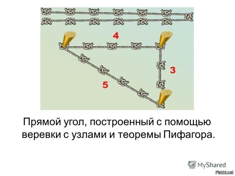 Комментарии и картинки из соцсетей. Свежак за 2 декабря