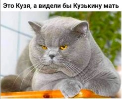 Комментарии и картинки из соцсетей. Свежак за 2 декабря