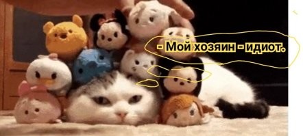Просто гифки, всякие и&nbsp;разные