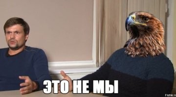 В Южной Корее птица сбила американский истребитель F-35A