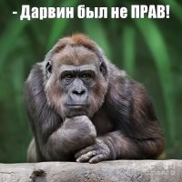 Как разбить яйцо, чтобы в него не попала скорлупа