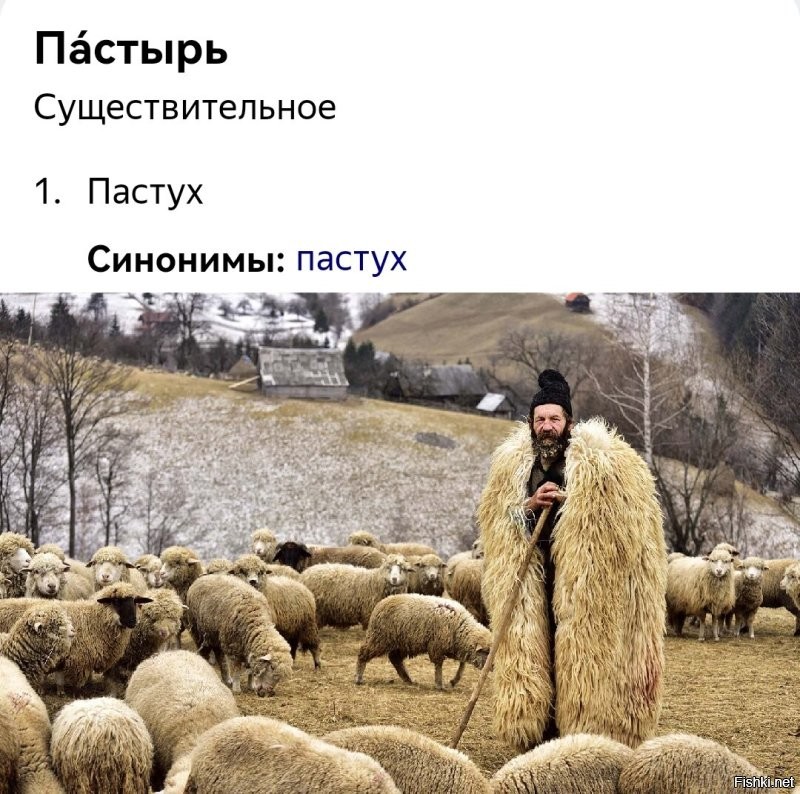 Без пастуха мужчинам никак?