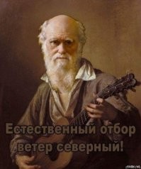 Неудачное селфи: подросток сорвался с крыши в центре Петербурга