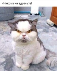 С добрым утром