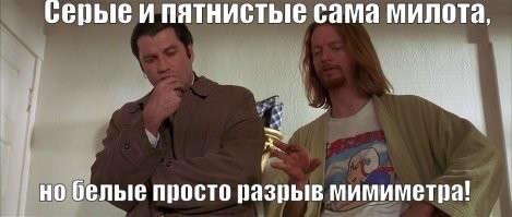 Милая находка под одеялом