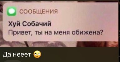 Комментарии и картинки из соцсетей. Свежак за 4 декабря
