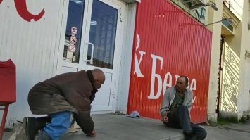 Эти тоже живут в этом мире.