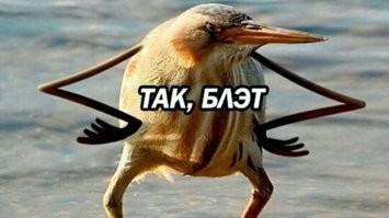 А ХДЕ КАРТОШКА ?