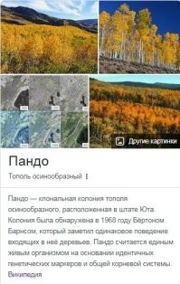Ну, если говорить за "существо",то есть сосна 5000 лет.
 А сть ещё Пандо,с 80-ю тысячами лет..