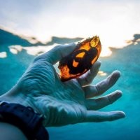На будущее: на "Фишках" у приличных людей, уважающих других посетителей, принято приводить не номер картинки, а саму картинку. 
И – да: номер 12 – причём здесь ёлка?