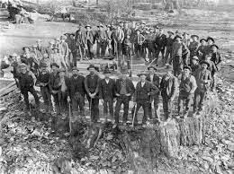 Шоб построить демократию, нужно было не только уничтожить местное население, но ещё и очень много пиломатериалов.