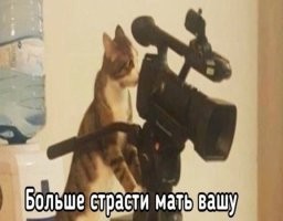 Не ищите здесь смысл. Здесь в основном маразм
