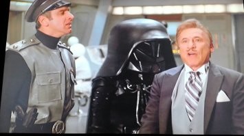 До чего ж на нашего Буншу похож!
