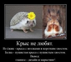 Не ищите здесь смысл. Здесь в основном маразм