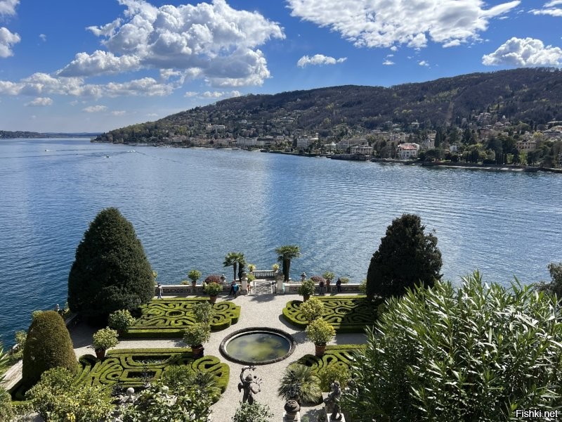 Ну вот зачем ты расскрываешь великие тайны? Написал же человек про Изола-Белла, о котором никто, кроме 6-6,5 миллиардов человек не знало, а ты сразу про отели. Нету там ничего, никаких отелей, пустыня кругом.
Там вообще никого кроме автора и моей придурошной жены, которой приспичило белых павлинов пофографировать за последние пару лет не было.