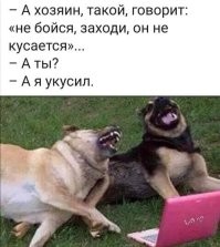 Курьер фотографируется с собаками клиентов — и покоряет сердца