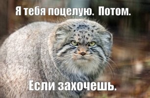 Поцелуи истинной любви