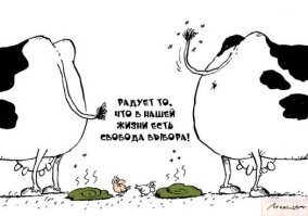 Крайне неудачный день в жизни птицы