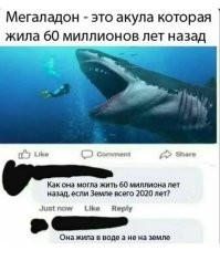 Это отсюда:  :)