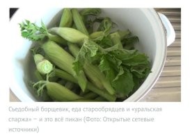 Уточнять нужно, чего он там посадил.