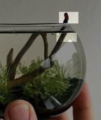 Это да, ещё и вода в банке увеличивает.