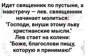 Почему не стоит уплывать от акулы