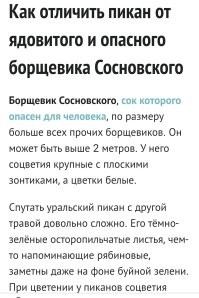 Уточнять нужно, чего он там посадил.