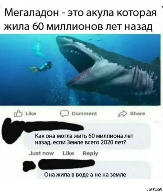 Это отсюда:  :)