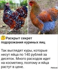 Как изменились цены всего за год?