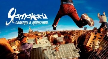 Лошадь фанатка фильма