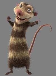 Опоссум залез в дом американки и спрятался в ветвях ёлки