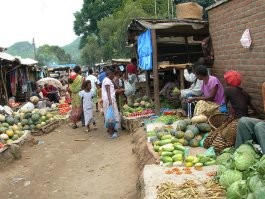 Вот только в Африке чищеные бананы в пластик не упаковывают. Да и вообще там с объемной упаковкой напряг, ибо она сильно удорожает продукт, а у покупателей и так денег нет.

А вот европейцы, мало того, что производят 90 процентов мирового мусора, так еще и отвозят его в страны Африки и Азии, экономя на переработке.