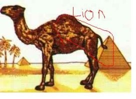 Пачка сигарет Кэмел.