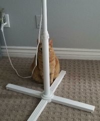 25 мастеров камуфляжа с идеальной маскировкой