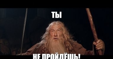 Реакция спасла пешехода