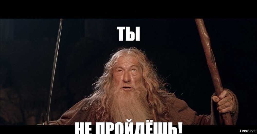 Реакция спасла пешехода